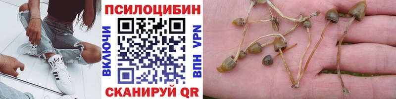 Псилоцибиновые грибы Magic Shrooms хочу наркоту Нижняя Салда